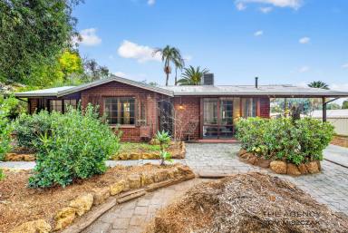 House For Sale - WA - Mount Nasura - 6112 - The Epitome Of Premium Family Living In The Hills  (Image 2)