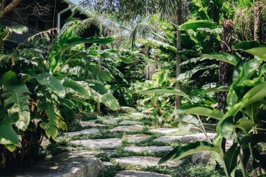 Medical/Consulting Leased - NSW - Byron Bay - 2481 - Habitat is a thriving village where people live, work, shop and recharge, all in one place  (Image 2)