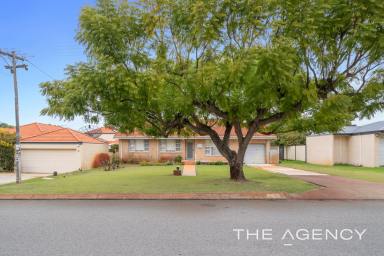 House For Sale - WA - Yokine - 6060 - Prime Opportunity in Blue-Chip Yokine – 794sqm R30 Zoned Block  (Image 2)