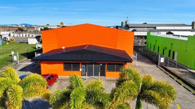 Industrial/Warehouse For Sale - QLD - Paget - 4740 - COMMERCIAL INVESTMENT IN PRIME LOCATION  (Image 2)