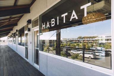 Office(s) For Lease - NSW - Byron Bay - 2481 - Open desk spaces available at Habitat Workspace  (Image 2)