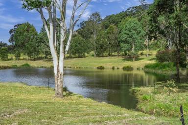 Residential Block For Sale - NSW - East Gresford - 2311 - A Rare 7-Acre Parcel in Walking Distance to East Gresford  (Image 2)