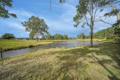 Residential Block For Sale - NSW - East Gresford - 2311 - A Rare 7-Acre Parcel in Walking Distance to East Gresford  (Image 2)