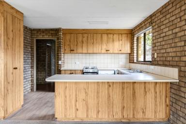 House For Sale - VIC - Mildura - 3500 - Solid Investment Opportunity with Strong Returns  (Image 2)