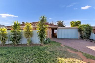 House For Sale - VIC - Mildura - 3500 - Solid Investment Opportunity with Strong Returns  (Image 2)