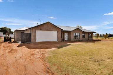 House For Sale - NSW - Coomealla - 2717 - Beautiful Home offering External Space.  (Image 2)