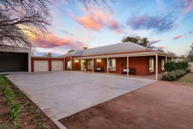 House For Sale - VIC - Mildura - 3500 - Grand Family Living with Hidden Outdoor Surprise  (Image 2)