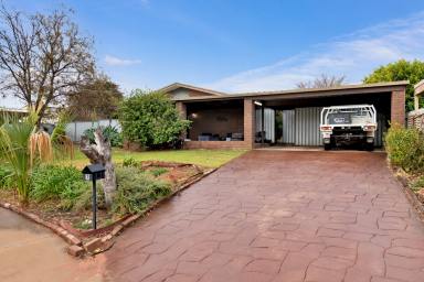 House For Sale - VIC - Red Cliffs - 3496 - Great Family Home  (Image 2)