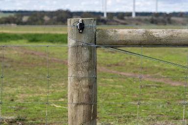 Livestock For Sale - VIC - Ballan - 3342 - Bluechip Grazing Property with River Frontage  (Image 2)