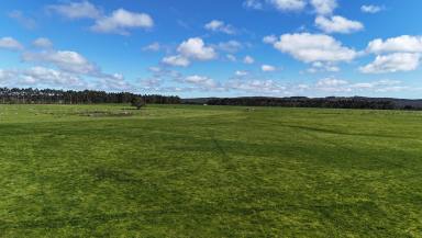 Livestock For Sale - VIC - Ballan - 3342 - Bluechip Grazing Property with River Frontage  (Image 2)