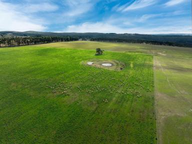 Livestock For Sale - VIC - Ballan - 3342 - Bluechip Grazing Property with River Frontage  (Image 2)