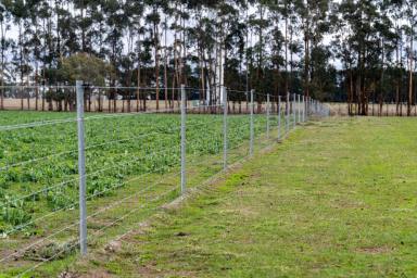 Livestock For Sale - VIC - Ballan - 3342 - Bluechip Grazing Property with River Frontage  (Image 2)