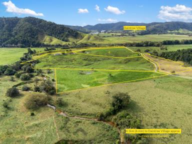 Residential Block For Sale - QLD - Daintree - 4873 - A Superb Rural Gem  (Image 2)