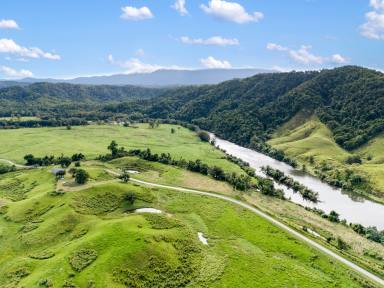 Residential Block For Sale - QLD - Daintree - 4873 - A Superb Rural Gem  (Image 2)