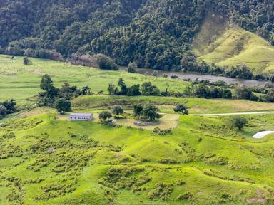 Residential Block For Sale - QLD - Daintree - 4873 - Rural Daintree Gem  (Image 2)