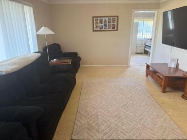 House For Sale - NSW - Moree - 2400 - GREAT FAMILY HOME IN A FANTASTIC LOCATION  (Image 2)