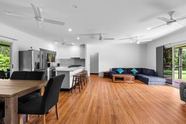 House For Sale - QLD - Daintree - 4873 - A VAST, SERENE ESTATE  -  3 MINUTES FROM THE DAINTREE FERRY  (Image 2)