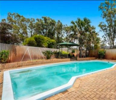House For Sale - WA - Maddington - 6109 - Fully renovated 4*Bedroom Oasis on 890 sqm block-A true entertainers dream  (Image 2)