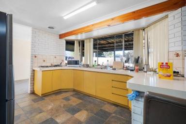 House For Sale - WA - Maddington - 6109 - Fully renovated 4*Bedroom Oasis on 890 sqm block-A true entertainers dream  (Image 2)