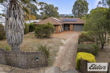 House For Sale - VIC - Avoca - 3467 - Affordable Living on the Edge of Avoca  (Image 2)