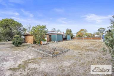 House For Sale - VIC - Avoca - 3467 - Peaceful Avoca Living with Space, Comfort & Everyday Convenience  (Image 2)