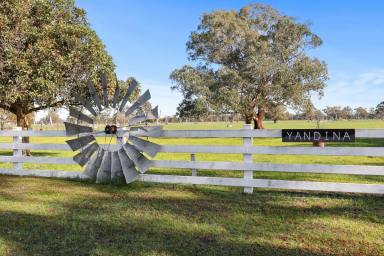 Mixed Farming For Sale - VIC - Corndale - 3311 - Red gum country  (Image 2)
