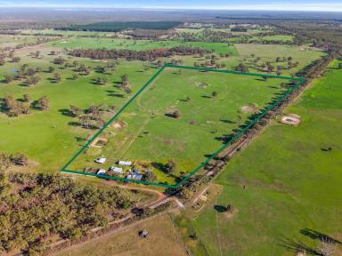 Mixed Farming For Sale - VIC - Corndale - 3311 - Red gum country  (Image 2)