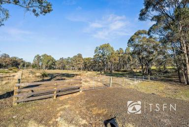 Residential Block For Sale - VIC - Big Hill - 3555 - Prime Vacant Lot for your new home, development or investment  (Image 2)