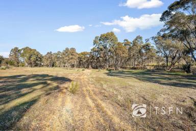 Residential Block For Sale - VIC - Big Hill - 3555 - Prime Vacant Lot for your new home, development or investment  (Image 2)