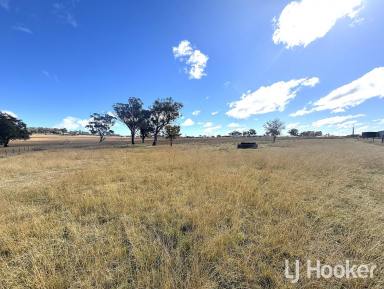 Residential Block For Sale - NSW - Inverell - 2360 - Land with Development Potential  (Image 2)