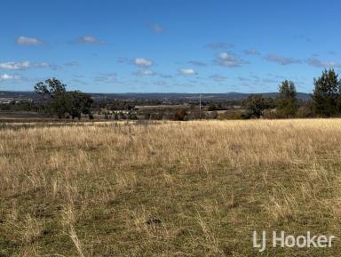 Residential Block For Sale - NSW - Inverell - 2360 - Land with Development Potential  (Image 2)