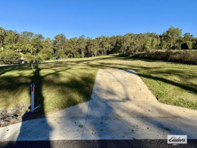 Residential Block For Sale - QLD - Pie Creek - 4570 - LONGFIELDS ESTATE - Lot 2  (Image 2)