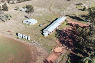 Mixed Farming Auction - NSW - Peak Hill - 2869 - Real Mixed Farming Enterprise  (Image 2)