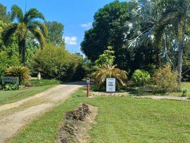 House For Sale - QLD - Tully Heads - 4854 - Tully Heads Hideaway – Where Design Meets Seclusion  (Image 2)