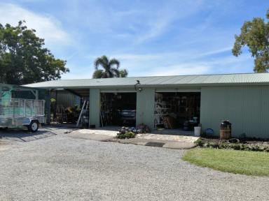 House For Sale - QLD - Tully Heads - 4854 - Tully Heads Hideaway – Where Design Meets Seclusion  (Image 2)