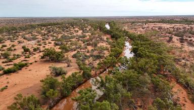 Livestock For Sale - WA - Yannarie - 6710 - HISTORIC PASTORAL LANDHOLDING  (Image 2)
