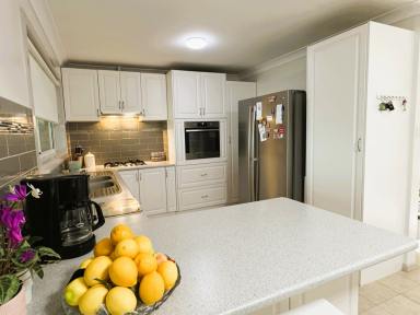 House For Sale - NSW - Inverell - 2360 - Quality Brick home in a quite location  (Image 2)