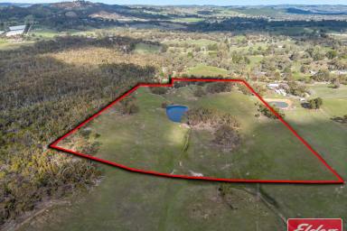 House For Sale - SA - Kersbrook - 5231 - STUNNING 27.6 ACRE (11.18 HA) ALLOTMENT WITH RENOVATE OR DETONATE HOUSE  (Image 2)