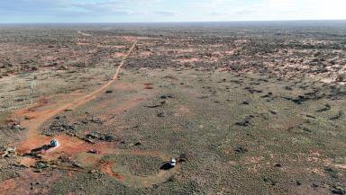 Livestock For Sale - WA - Inggarda - 6701 - GASYCOYNE PASTORAL STATIONS  (Image 2)