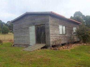 House For Lease - TAS - Port Arthur - 7182 - AVAILABLE MID SEPTEMBER 2025  (Image 2)