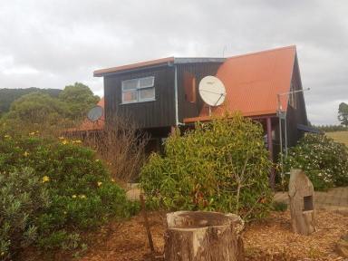 House For Lease - TAS - Port Arthur - 7182 - AVAILABLE MID SEPTEMBER 2025  (Image 2)