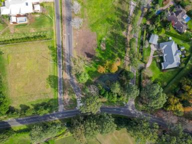 Residential Block For Sale - NSW - Berry - 2535 - The Search is Over - Is This Your Dream Block?  (Image 2)
