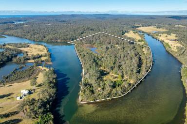 Acreage/Semi-rural For Sale - NSW - Runnyford - 2536 - Prime Waterfront Acreage  (Image 2)
