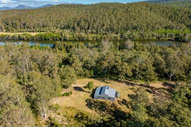 Acreage/Semi-rural For Sale - NSW - Runnyford - 2536 - Prime Waterfront Acreage  (Image 2)