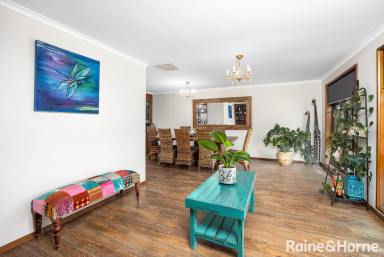 House For Sale - NSW - Kooringal - 2650 - Family Functionality - Large in Living  (Image 2)