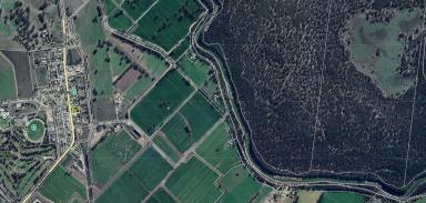 Residential Block For Sale - VIC - Murrabit - 3579 - Rivertown alotment  (Image 2)