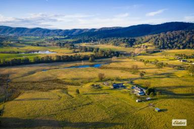 Acreage/Semi-rural For Sale - NSW - Tarraganda - 2550 - Riverbend Farm – Top Quality Equine Showpiece with Prime Riverfront Acreage  (Image 2)
