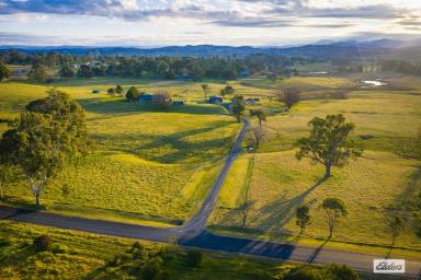 Acreage/Semi-rural For Sale - NSW - Tarraganda - 2550 - Riverbend Farm – Top Quality Equine Showpiece with Prime Riverfront Acreage  (Image 2)
