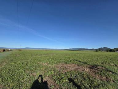 Other (Rural) For Sale - QLD - Lannercost - 4850 - RURAL PROPERTY 20 MINUTES FROM INGHAM!  (Image 2)