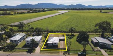 House For Sale - QLD - Ingham - 4850 - ONE FOR INVESTOR WHO IS READY TO RENOVATE!  (Image 2)